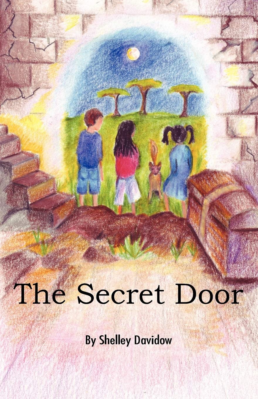 The Secret Door by Shelley Davidow