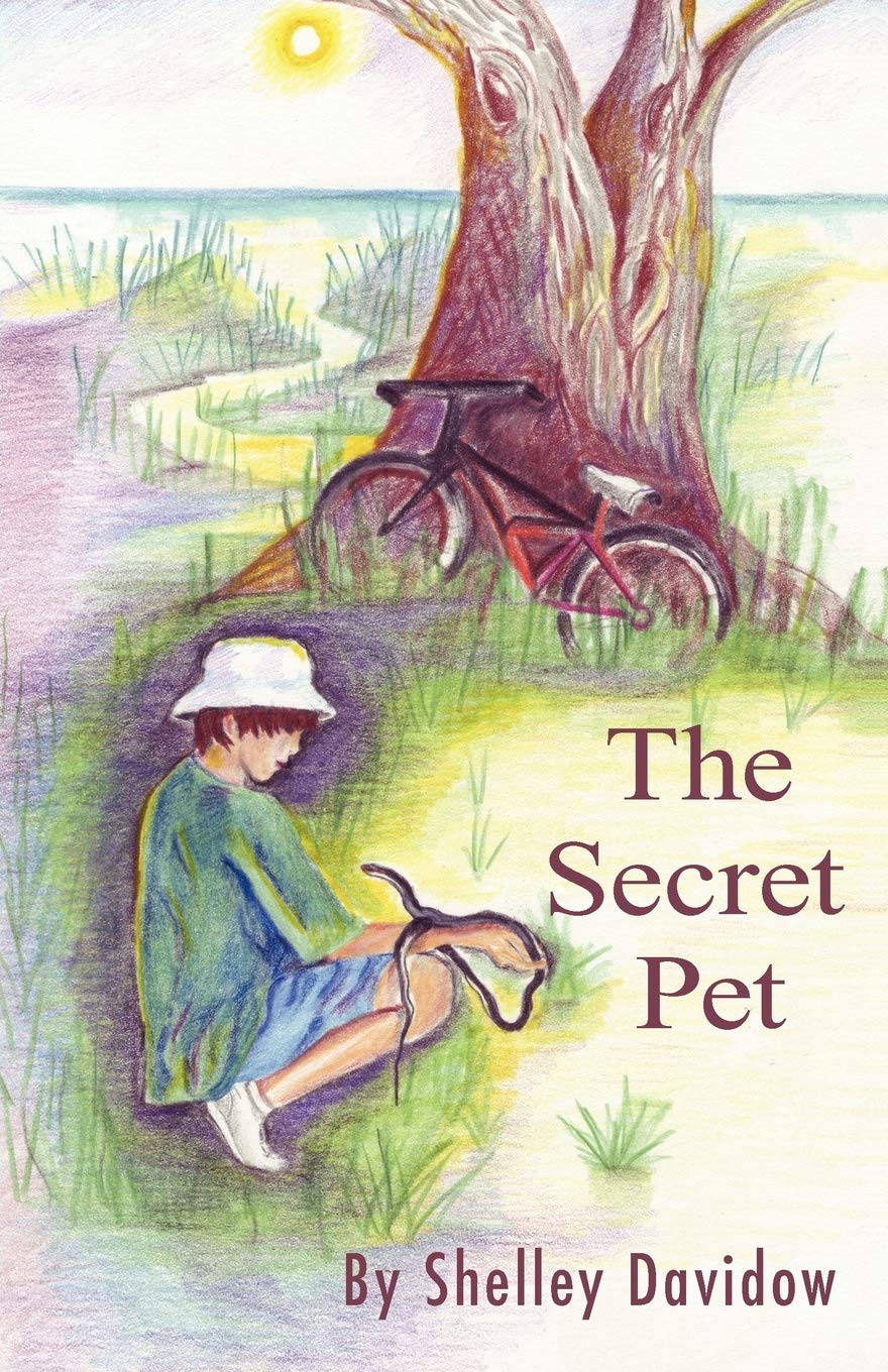 The Secret Pet by Shelley Davidow